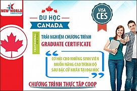 Post - Graduate Certificate thu hút sinh viên quốc tế tại Centennial College cùng chương trình thực tập hưởng lương